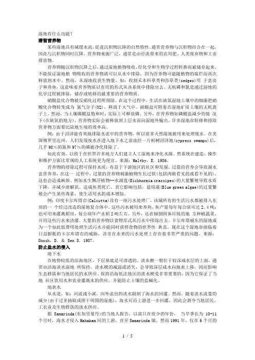 湿地有什么功能