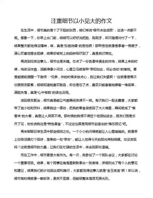 注重细节以小见大的作文