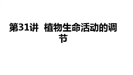 高三生物一轮复习课件第31讲 植物生命活动的调节