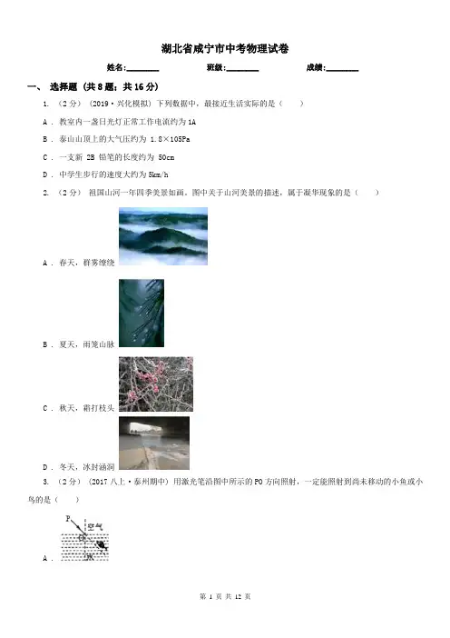 湖北省咸宁市中考物理试卷 