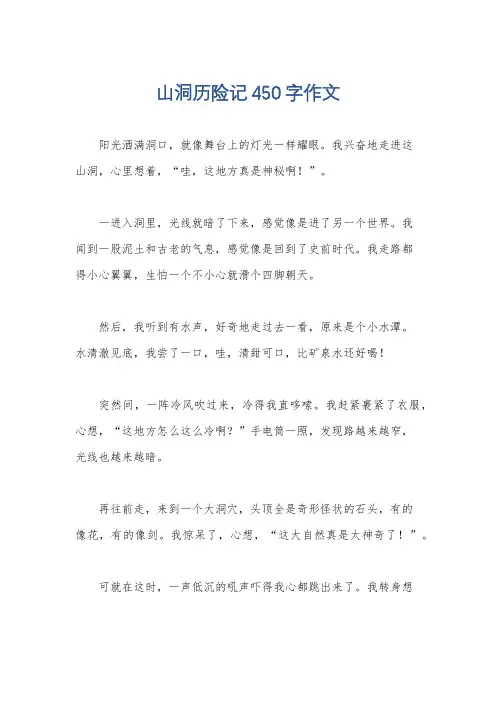 山洞历险记450字作文