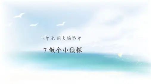 苏教版小学科学一年级上册《7 做个小侦探》教学课件