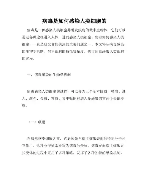 病毒是如何感染人类细胞的