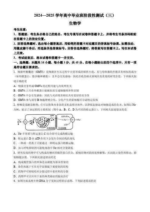 河南省部分名校2024-2025学年高三上学期11月阶段性测试(三)(期中)生物 含答案