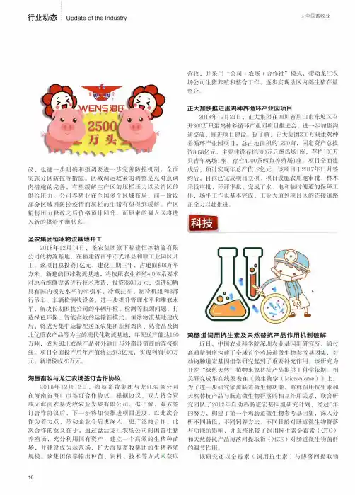 鸡肠道饲用抗生素及天然替抗产品作用机制破解