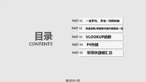 EXCEL实用小技巧指南PPt