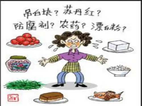 第二节食品的化学性污染及其预防