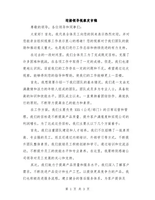 迎接领导视察发言稿