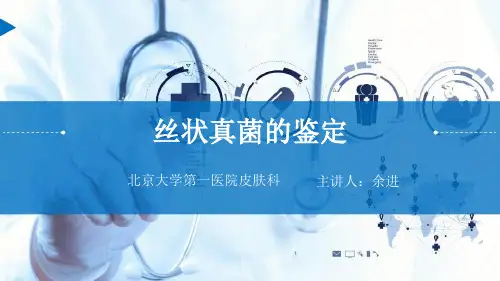 丝状真菌的鉴定