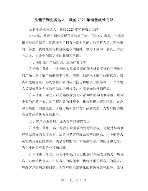 从新手到业务达人,我的2023年销售成长之路
