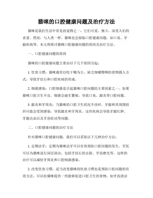 猫咪的口腔健康问题及治疗方法