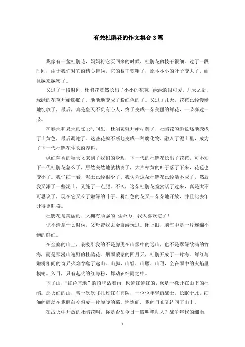 杜鹃花的作文范文精选