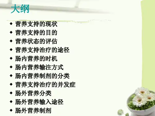 肠内营养支持pptPPT课件