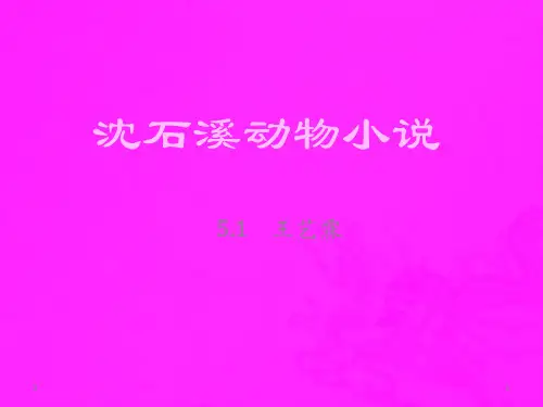 沈石溪动物小说(课堂PPT)