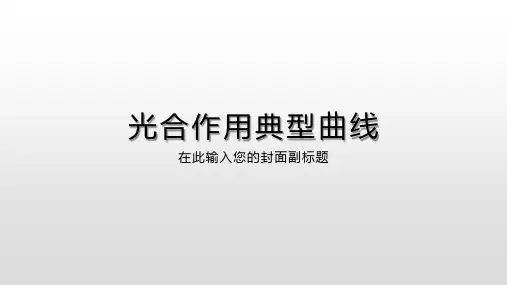 光合作用典型曲线