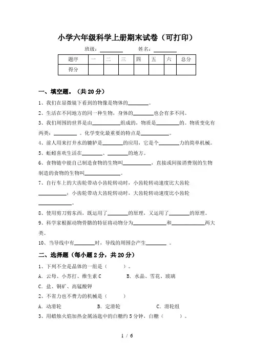 小学六年级科学上册期末试卷(可打印)