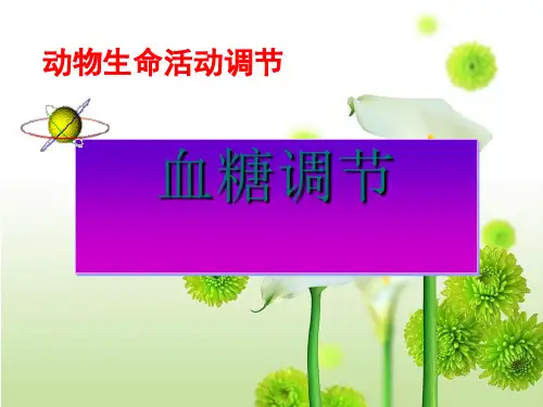 《血糖调节》PPT课件1