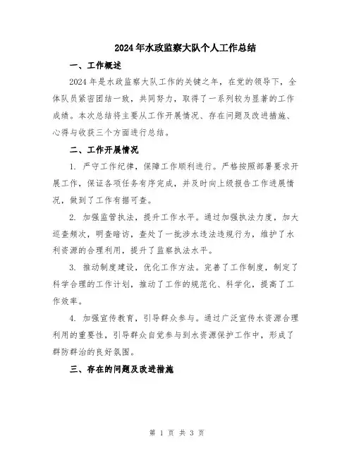 2024年水政监察大队个人工作总结