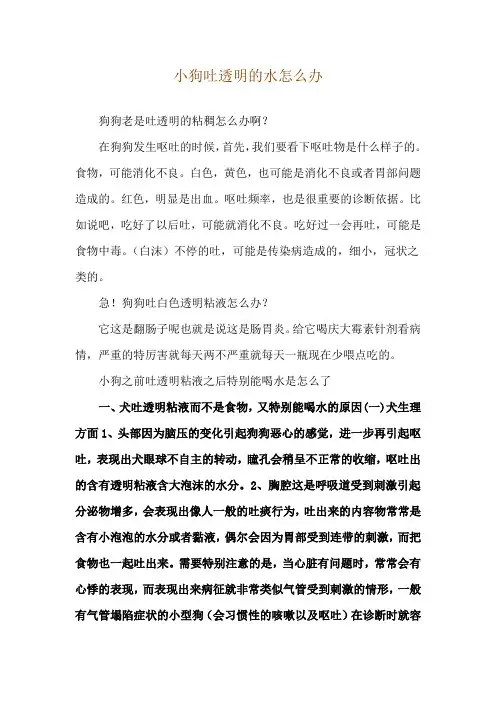 小狗吐透明的水怎么办