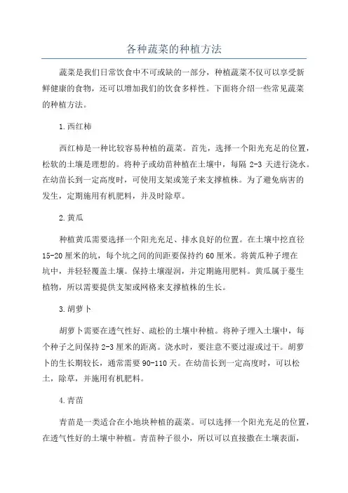 各种蔬菜的种植方法
