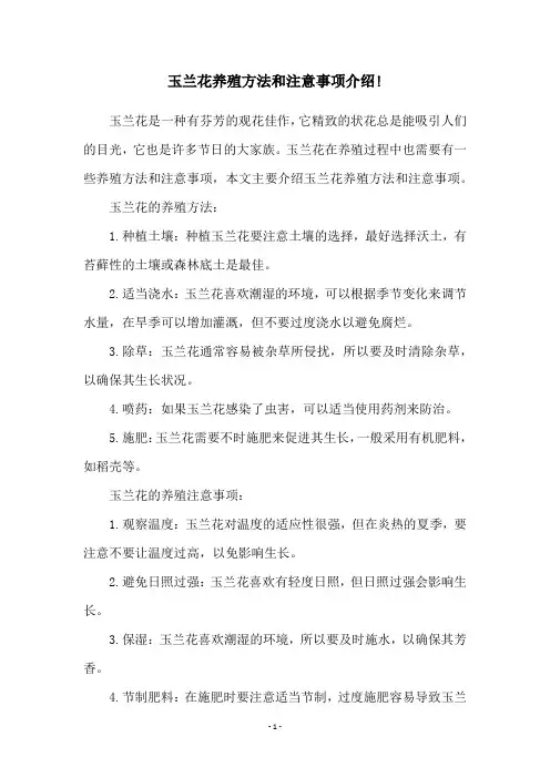 玉兰花养殖方法和注意事项介绍!
