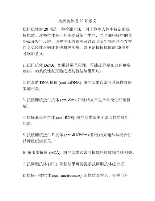 抗核抗体谱20项意义