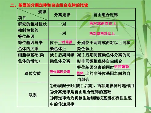 高中生物：遗传的基本规律(共64张PPT)