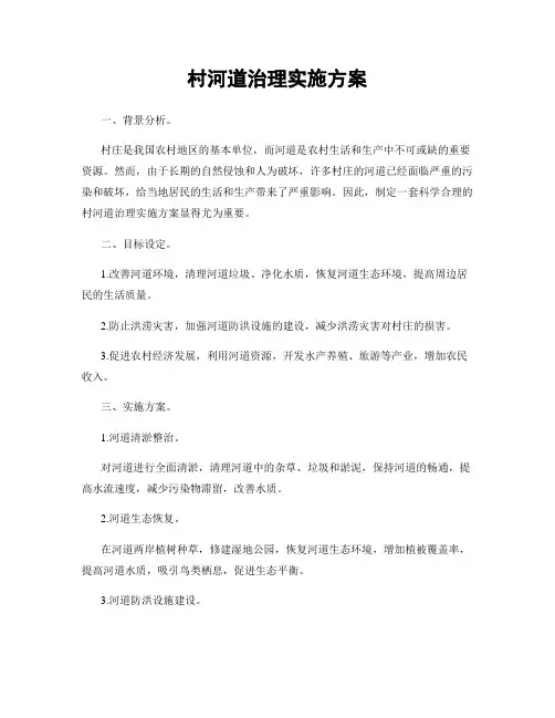 村河道治理实施方案