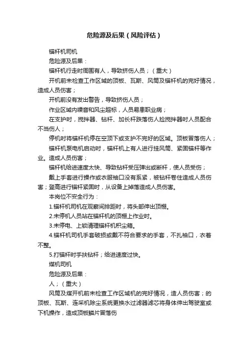 危险源及后果（风险评估）
