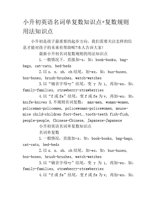 小升初英语名词单复数知识点+复数规则用法知识点