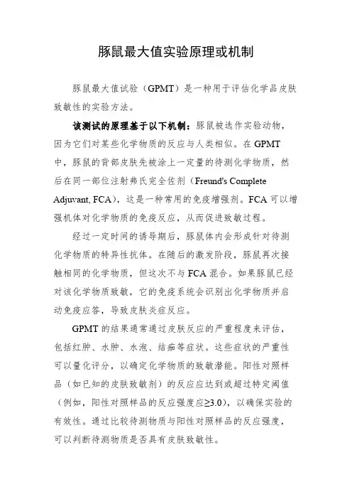 豚鼠最大值实验原理或机制