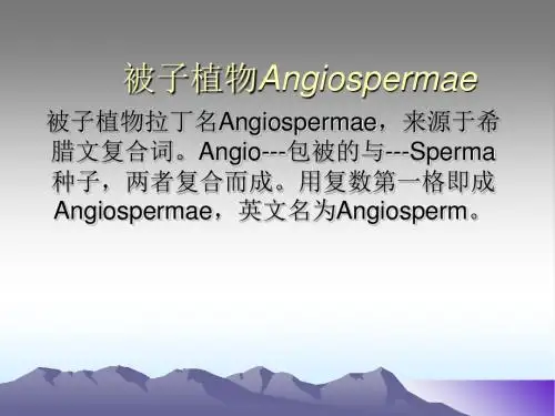 被子植物Angiospermae-精品文档
