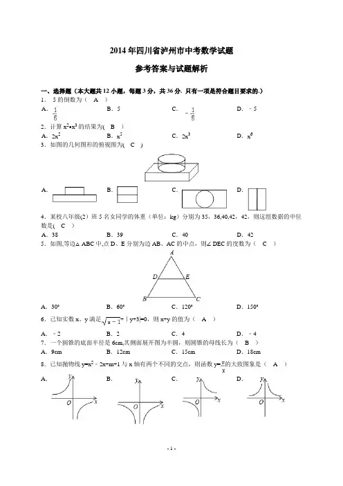 2014年泸州市中考数学试卷及答案(解析版)