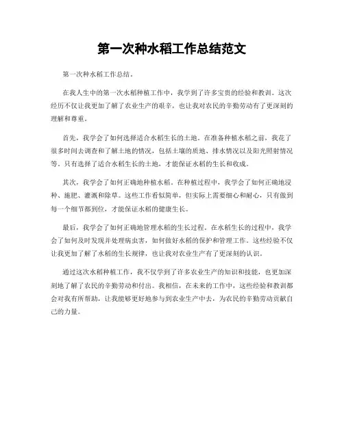第一次种水稻工作总结范文