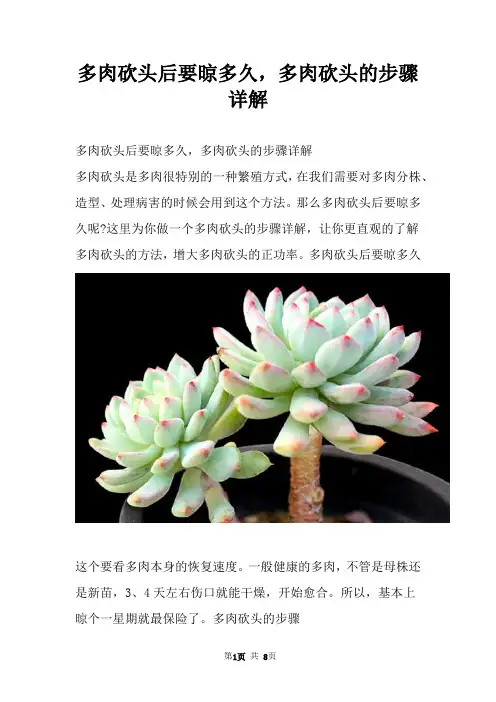 多肉砍头后要晾多久，多肉砍头的步骤详解