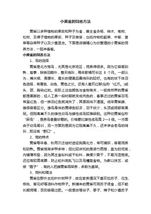 小黄雀的饲养方法
