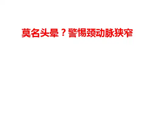 动脉硬化PPT医学课件