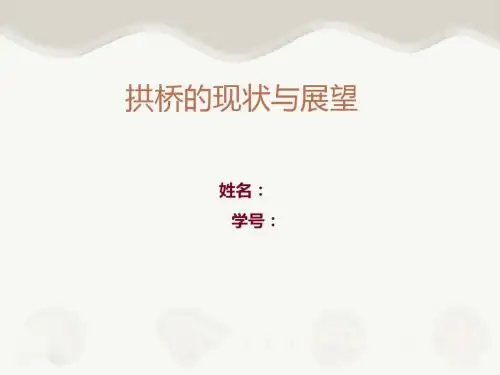 拱桥的展望