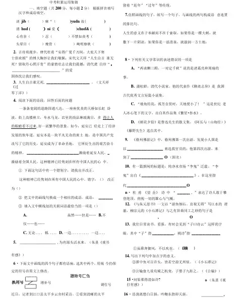 中考复习积累与运用精选100题.docx