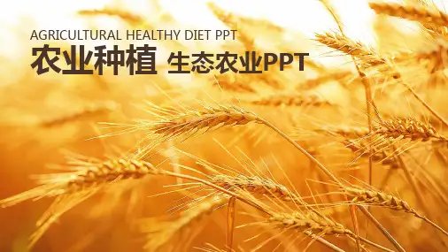农业种植生态农业发展汇报PPT模板课件