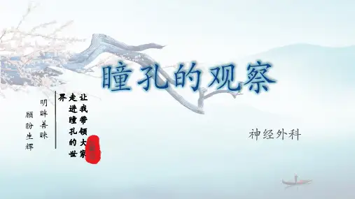 瞳孔的观察