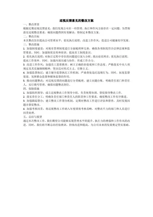 巡视反馈意见的整改方案