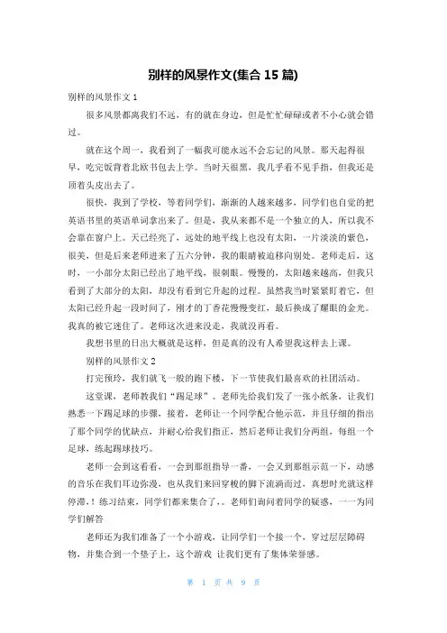 别样的风景作文(集合15篇)