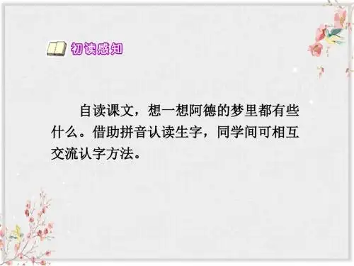 人教部编版二年级语文下册PPT32阿德的梦 课件
