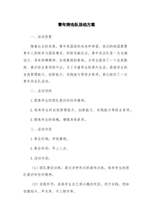 青年突击队活动方案