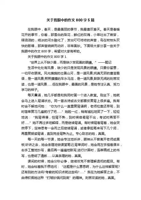 关于我眼中的作文800字5篇