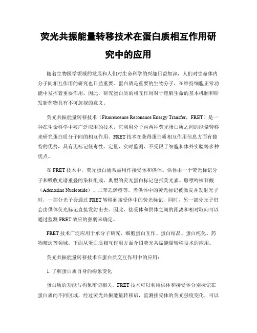 荧光共振能量转移技术在蛋白质相互作用研究中的应用