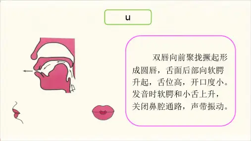  普通话基础语音发音训练-韵母u的发音练习课件PPT
