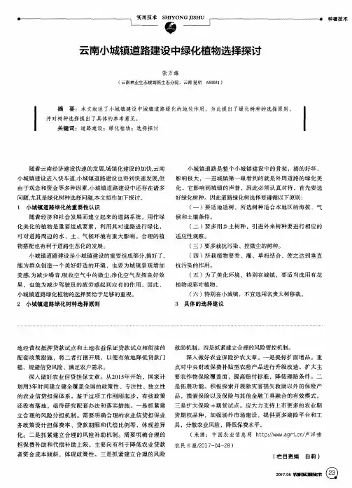 云南小城镇道路建设中绿化植物选择探讨