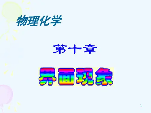 物理化学  第8章-2